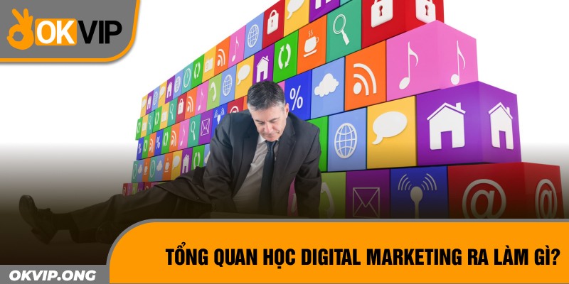 Tổng quan học digital marketing ra làm gì?