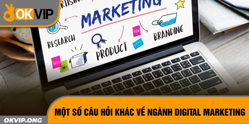 Một số câu hỏi khác về ngành digital marketing