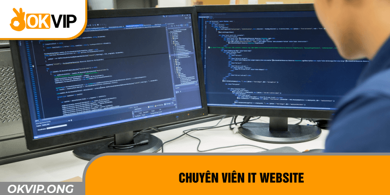 Chuyên viên IT website