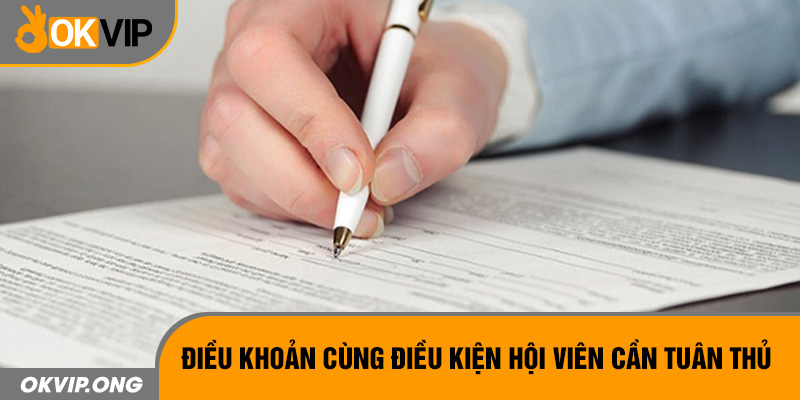 Điều khoản cùng điều kiện hội viên cần tuân thủ 