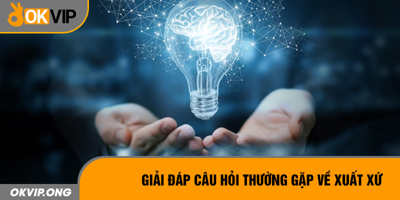 Giải đáp câu hỏi thường gặp về xuất xứ