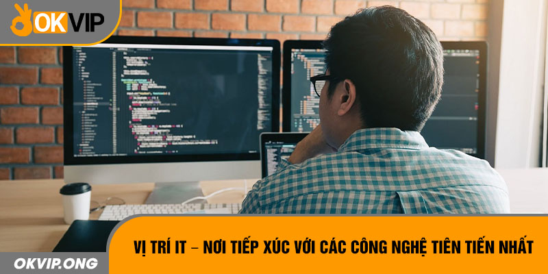 Quyền lợi đầy thu hút khi bạn trở thành nhân viên của OKVIP 