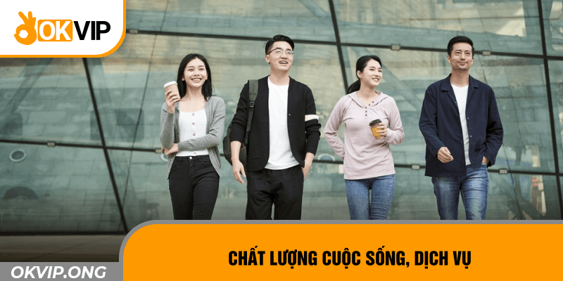 Chất lượng cuộc sống, dịch vụ