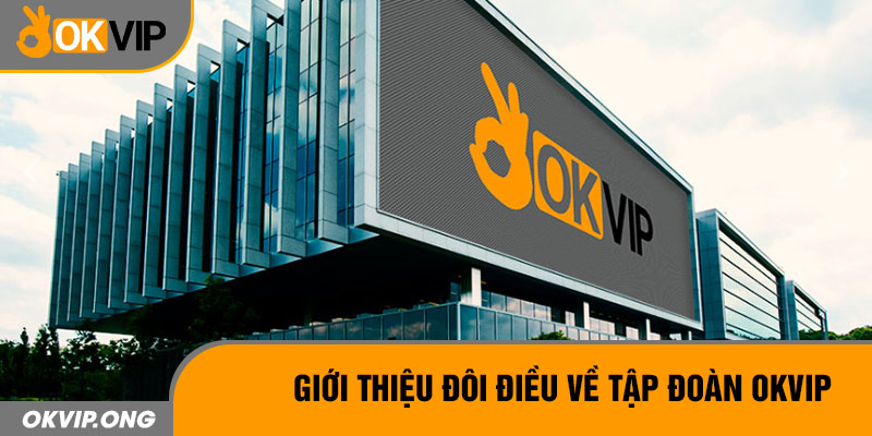 Giới thiệu đôi điều về tập đoàn OKVIP