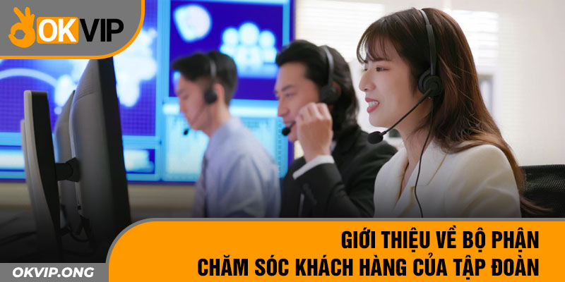 Giới thiệu về bộ phận chăm sóc khách hàng của tập đoàn