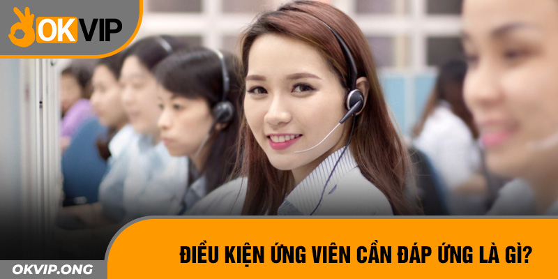 Điều kiện ứng viên cần đáp ứng là gì?