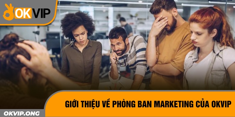 Giới thiệu về phòng ban Marketing của OKVIP