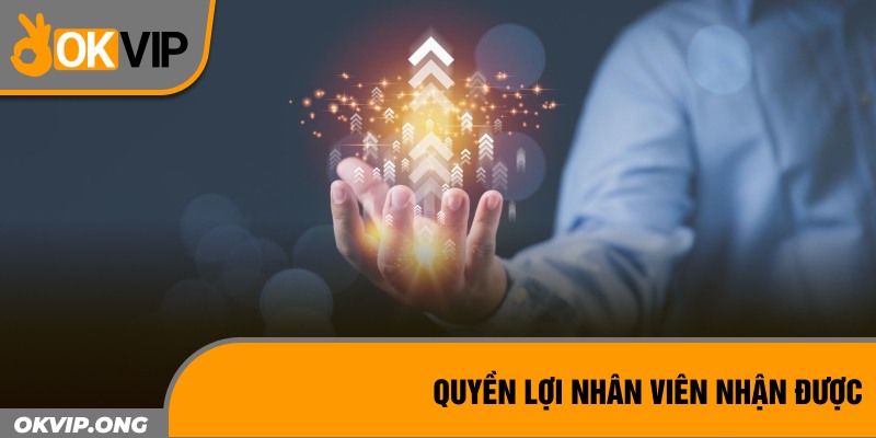 Quyền lợi nhân viên nhận được