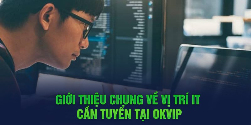 Những quyền lợi đặc biệt khi làm IT website OKVIP