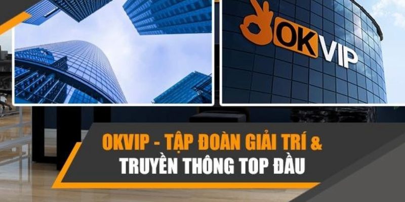 Chính sách với cộng tác viên OKVIP mảng Entity