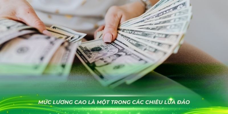 Mức lương cao là một trong các chiêu lừa đảo tuyển dụng trên mạng